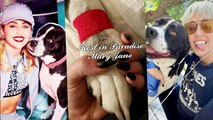 Miley Cyrus Pays Tribute To Her Pet Dog Mary Jane