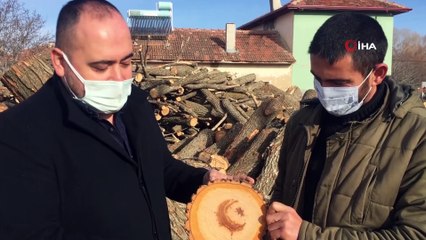 Türk bayrağı figürlü kayısı ağacı bilimsel incelemeye alındı