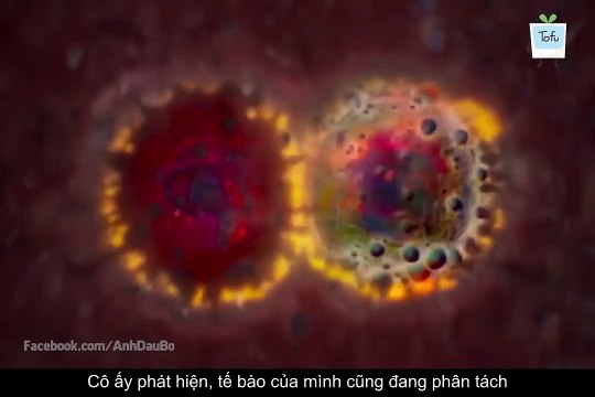 Review Phim Hay HOT SIÊU PHẨM VIỄN TƯỞNG MỸ 2018 VÙNG HUỶ DIỆT - ANNIHILATION ( Tóm Tắt Bộ Phim )