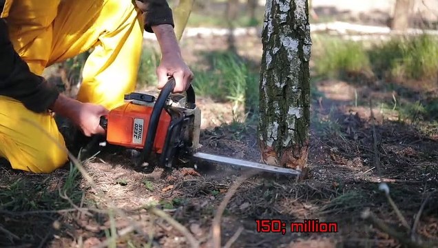 Watch how paper are made in factory || paper manufacturing process.