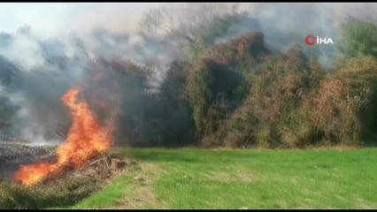 Fundalık alanda başlayan yangın ormana sıçramadan söndürüldü