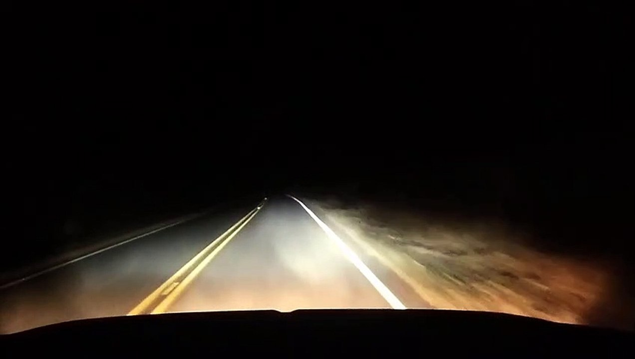 Deer Close Call