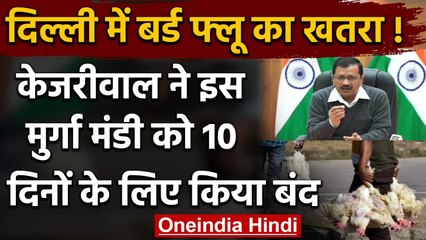 Bird Flu: Arvind Kejriwal का बड़ा फैसला, Gazipur Murga Mandi 10 दिन के लिए बंद । वनइंडिया हिंदी