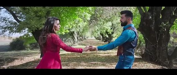 فدوه اروح اني ... سيف نبيل