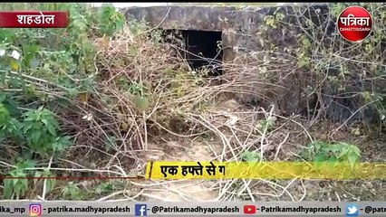 भालू के दो शावकों की देखभाल कर रहे ग्रामीण