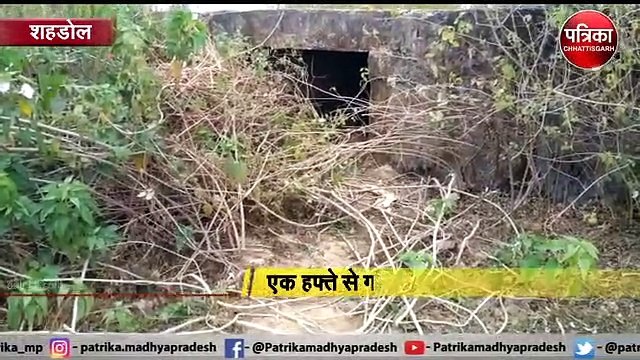 भालू के दो शावकों की देखभाल कर रहे ग्रामीण