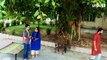 Jub We Wed | Episode 13 | Danish Taimoor | Ayeza Khan | Urdu1 TV Dramas | Pakistani Drama