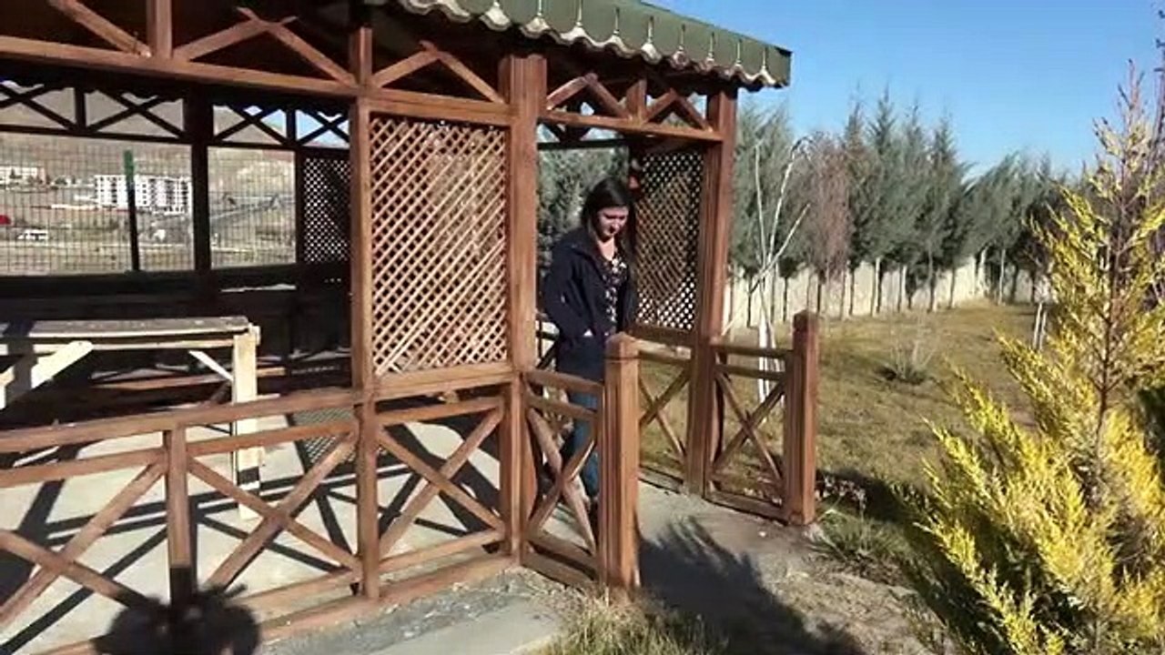 YUNUS ALTUNIŞIK - SARMA DOKTOR 2020