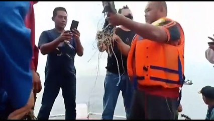 Un Boeing con 62 personas a bordo desaparece en Indonesia