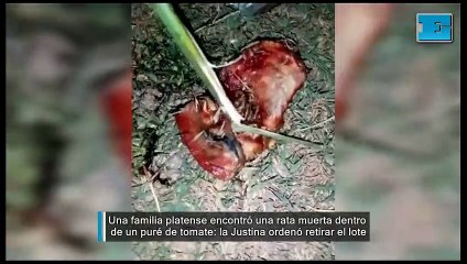 La Plata: una familia encontró una rata muerta en un puré de tomate y la Justicia ordenó retirar el lote