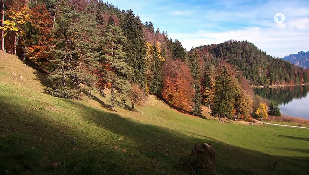 Sturm der Liebe 3524 folge