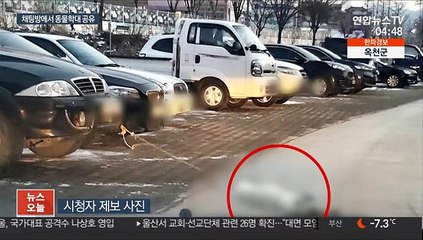 차에 매달고 학대인증까지…잇단 동물 대상 범죄