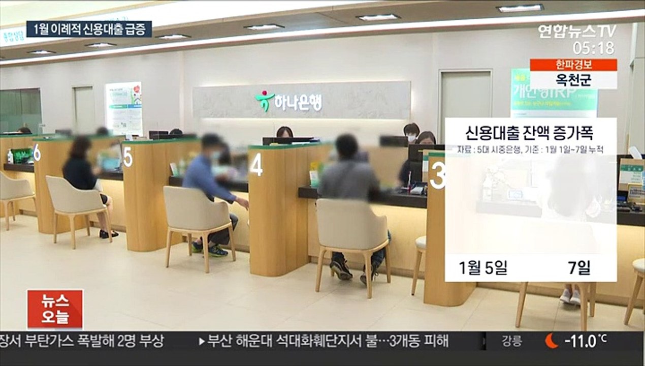 새해부터 신용대출 '꿈틀'…"수요 분산시켜야"