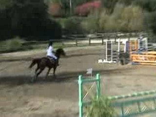 Vitesse 1m05 06/10/2006