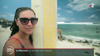La Réunion : un protocole de prévention contre les attaques de requins a été mis en place