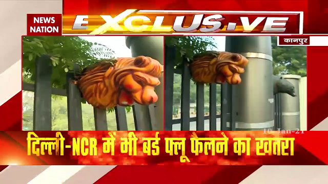 Bird flu havoc in 7 states of India, watch this report