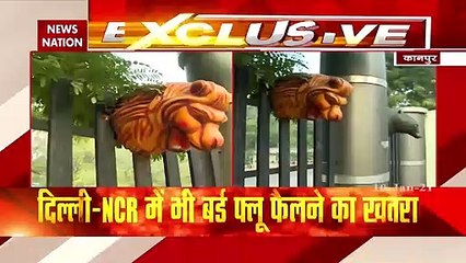 यूपी समेत 7 राज्यों में फैला बर्ड फ्लू का खतरा