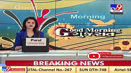 Stray dog chases away lion in Sasan forest, video goes viral _ TV9News _ D13_SS_09