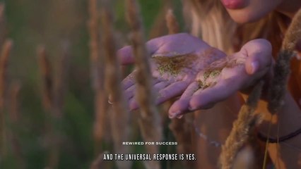 “The Universe Will Give You Anything You Want” - GOD SAYS YES (Law of Attraction)