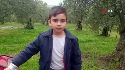 Yolda biranda karşılarına domuz sürüsü çıktı