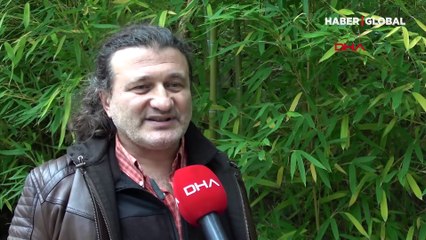 Hamsiyi kurtarma önerisi dehşete düşürdü: "Günde 70 kilo yiyorlar, yunusları avlayalım"