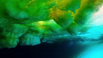 Our Planet S01E02 - Frozen Worlds