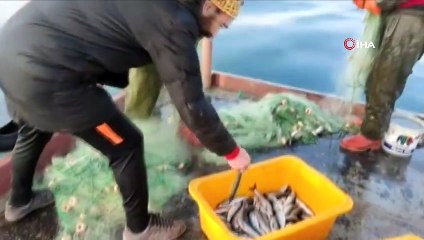 Van Gölü’nde av sezonu devam ediyor