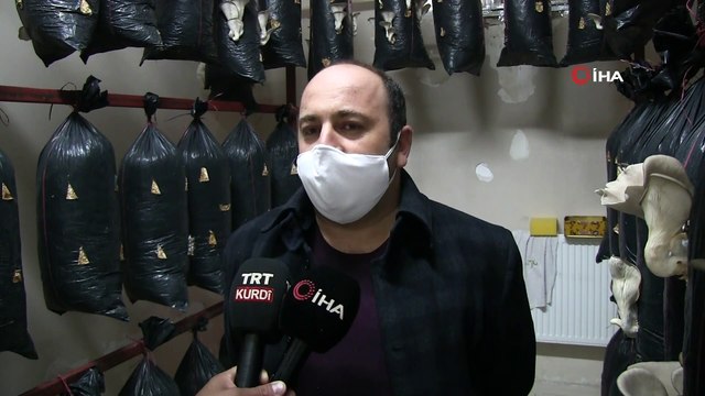 Şırnak'ta mantar üretim tesisi açıldı