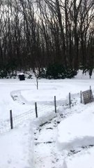 Winter Race Track Carved Into Snow for Doggies