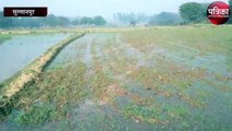 इस वजह से दर्जनों किसानों की फसलें हुईं बर्बाद