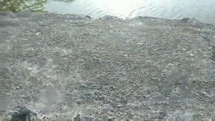 Lake Badi Udaipur city of lake