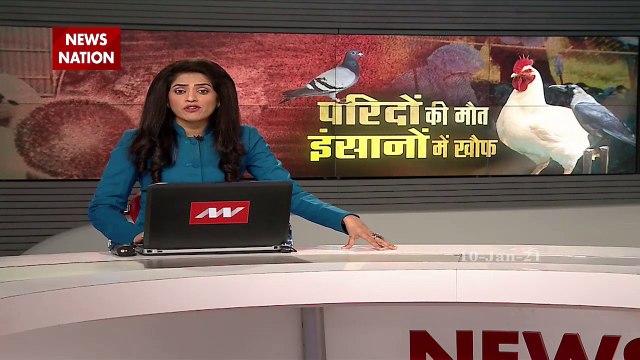 Bird Flu in India : परिदों की मौत, इंसानों में खौफ | Bird Flu Virus