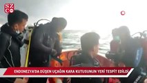 Endonezya'da düşen yolcu uçağına ait iki kara kutunun yeri tespit edildi