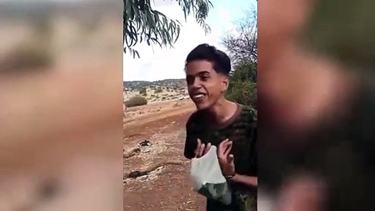 يا_مالي_عليا_نظري_-ya_mali_3alaya_nadhari_-حمزة_العرويّة