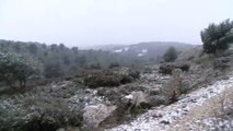 La neige recouvre les arbres et la campagne environnante.