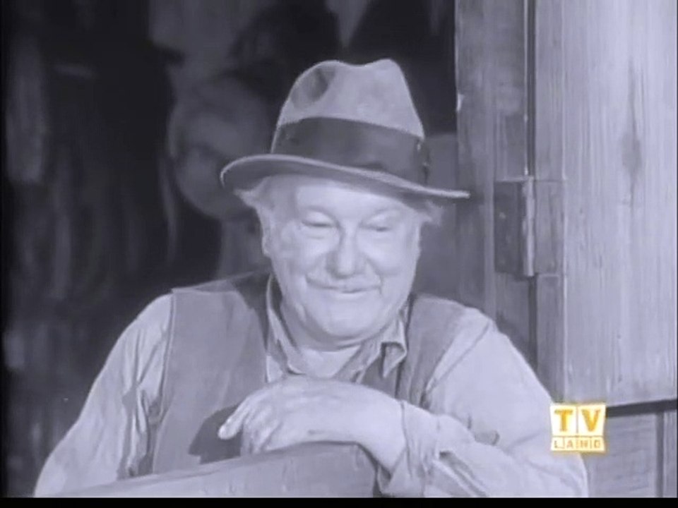 LASSIE - THE VISITOR
