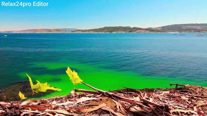 1 Hours of Amazing Nature Scenery & Relaxing Music for Stress Relief.