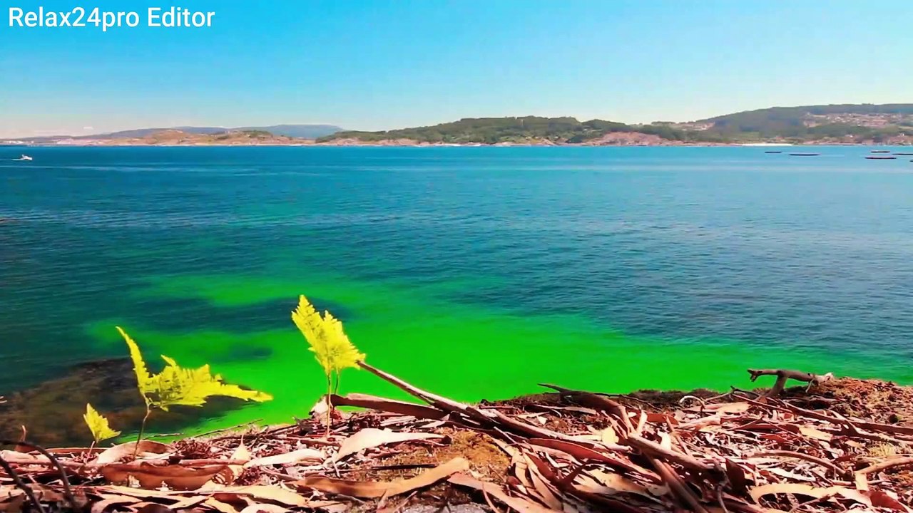 1 Hours of Amazing Nature Scenery & Relaxing Music for Stress Relief.