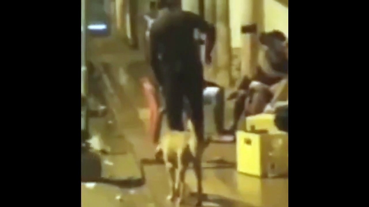 Instant karma for idiot man trying to kick a dog