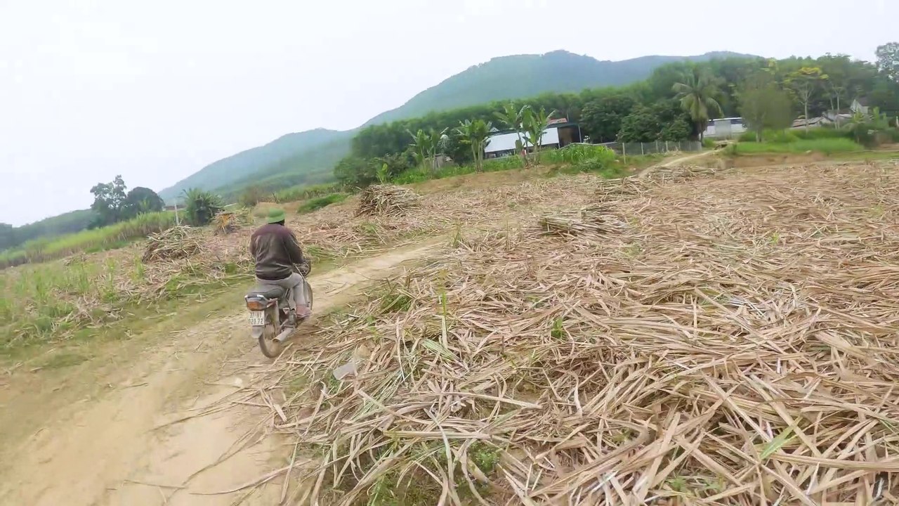 Kỹ Sư Bắt Lợn