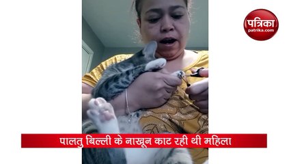 बिल्ली दिखा रही थी नखरें, महिला ने दिया ऐसा रिएक्शन हो गई सिट्टी-पिट्टी गुप