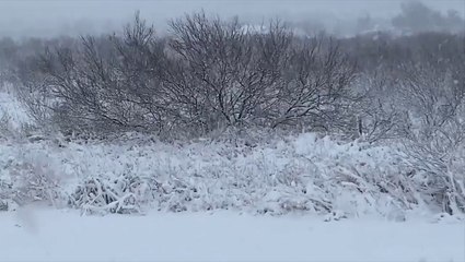 Snowy Sunday in west Texas