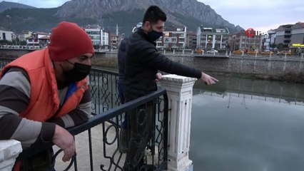 Kuraklık Yeşilırmak’taki Balıkları da Vurdu