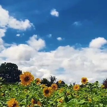 18 Bin Âleme Server Olan Muhammed: İsmail TEKİN