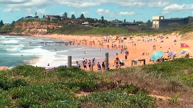 Three new locally acquired cases recorded in Sydney