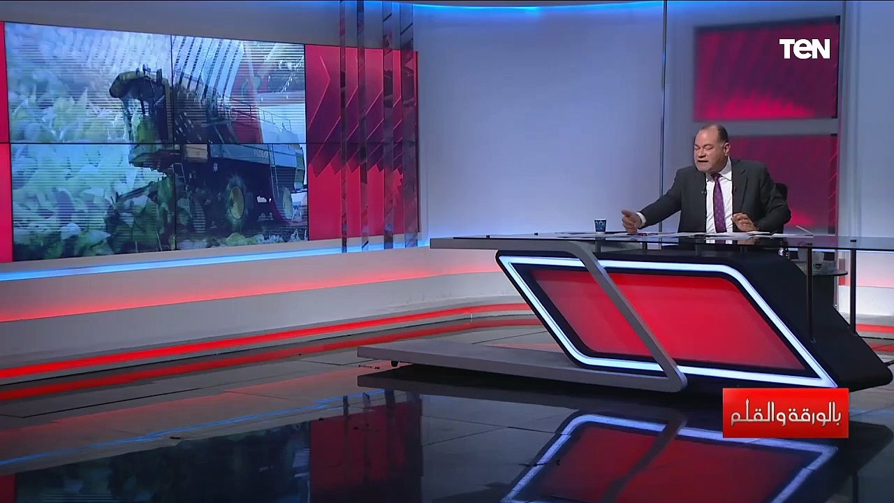 الديهي ينفعل ويتحدث عن مخططات أهل الشر للتقليل من إنجازات الدولة: الخرفان موجودين في كل مكان