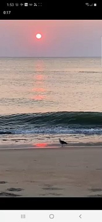 16 SECONDS!  MUST WATCH TO RELAX!  SICK SUNSET!   LUCKY BIRD!