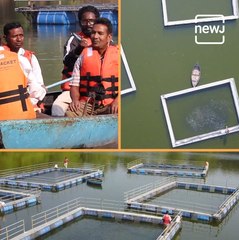 Youths of Jharkhand Use Closed Coal Mines For Their Fish Farming Business