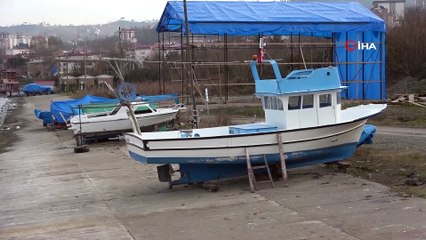 Hamsinin Geleceği Tehlikede