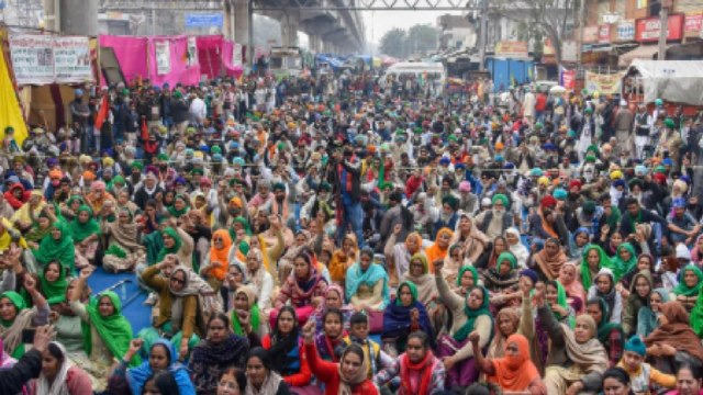 Farmers' Protest: Supreme Court slams Centre on farm laws